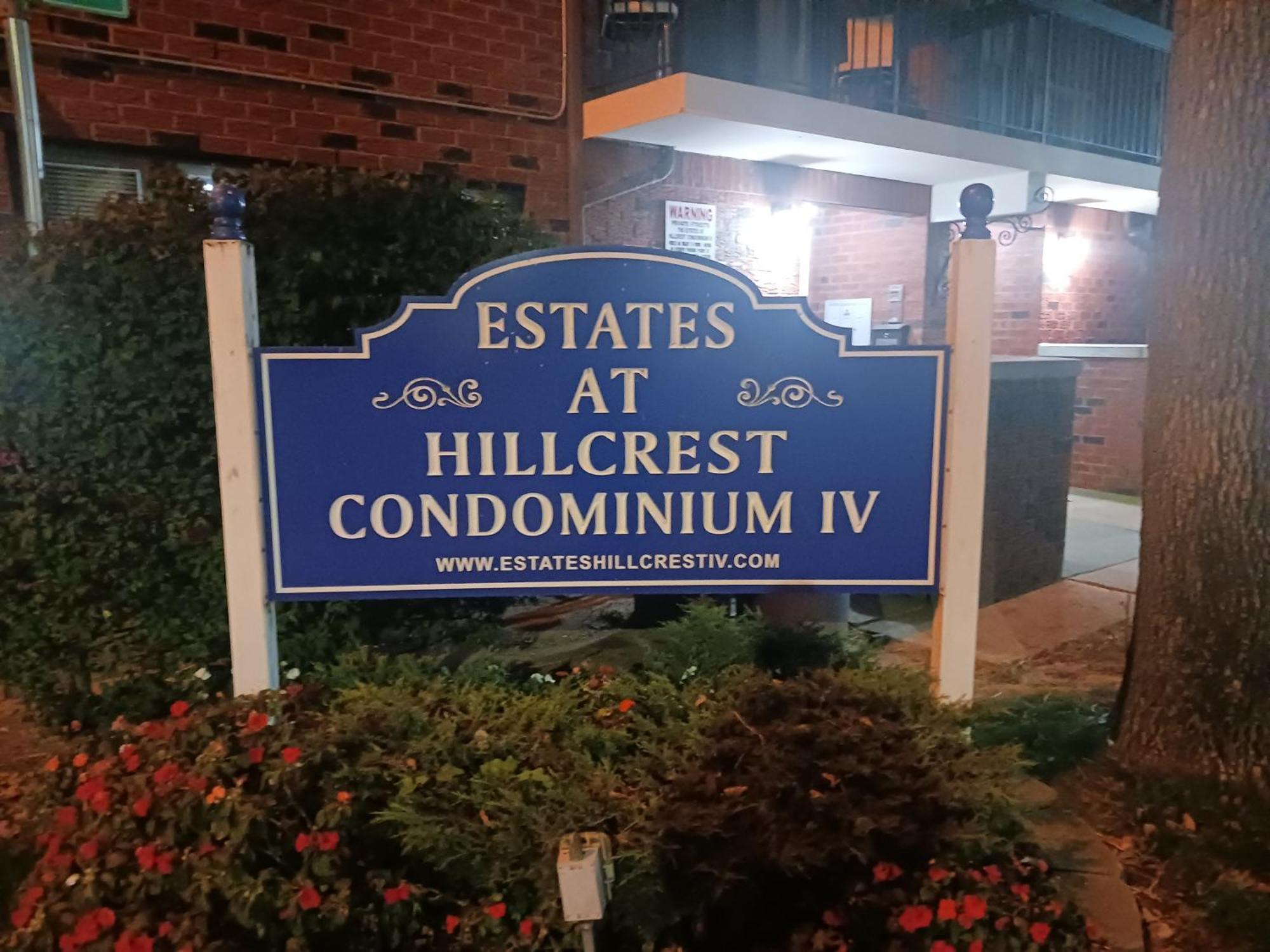 Comfy Cat Lover's In Fresh Meadows