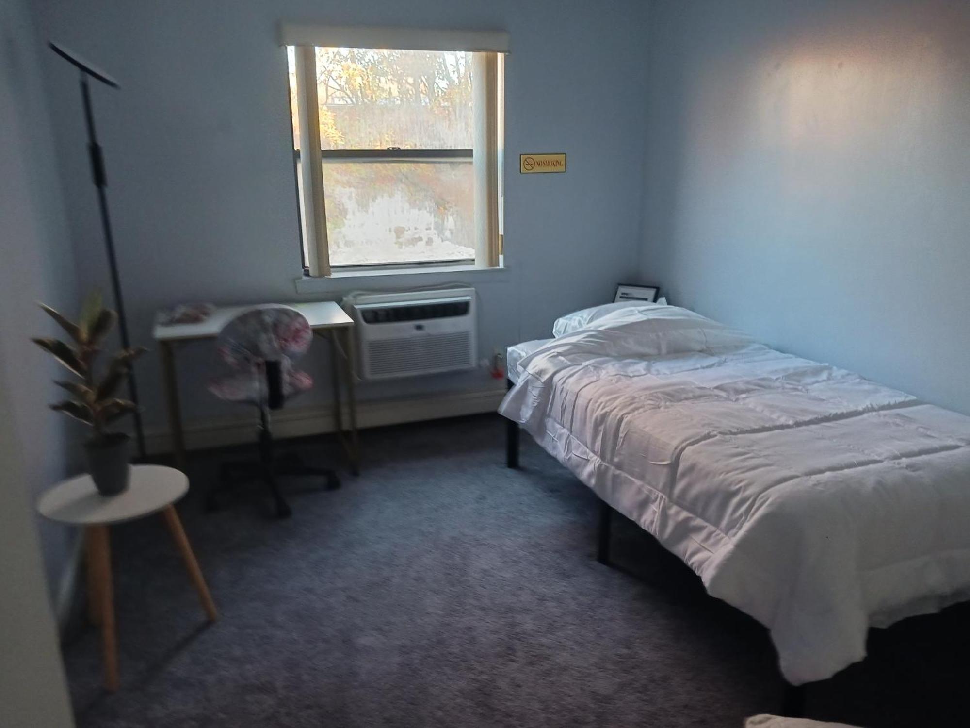 Comfy Cat Lover's In Fresh Meadows
