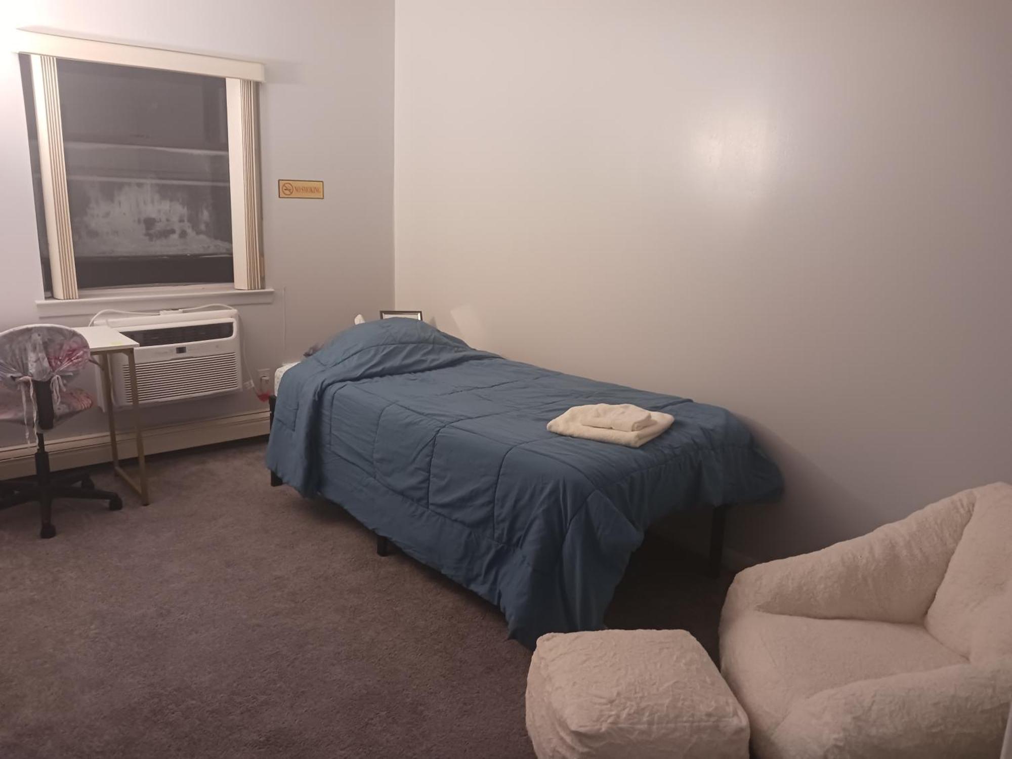 Comfy Cat Lover's In Fresh Meadows Homestay New York