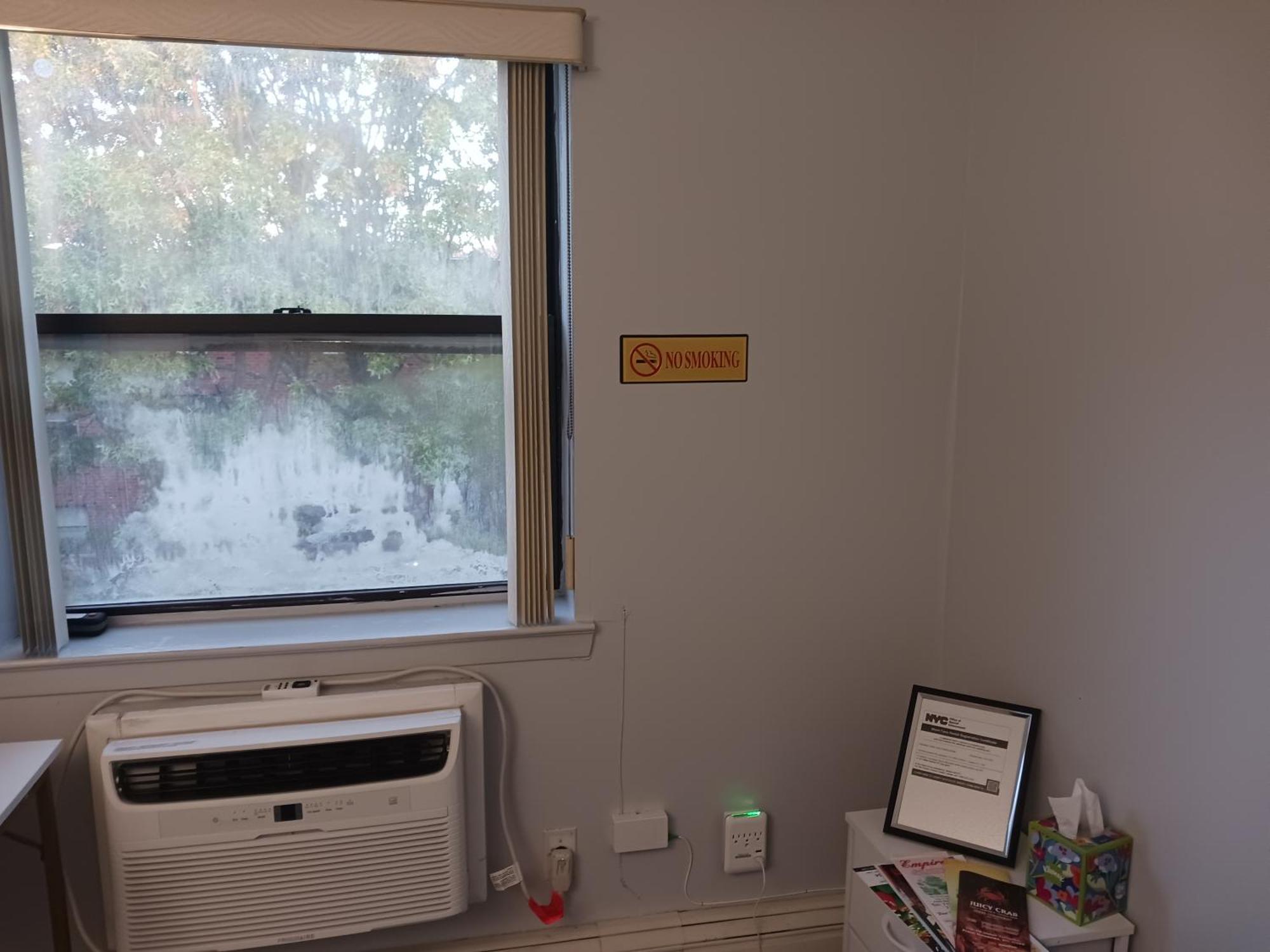 Comfy Cat Lover's In Fresh Meadows Homestay New York
