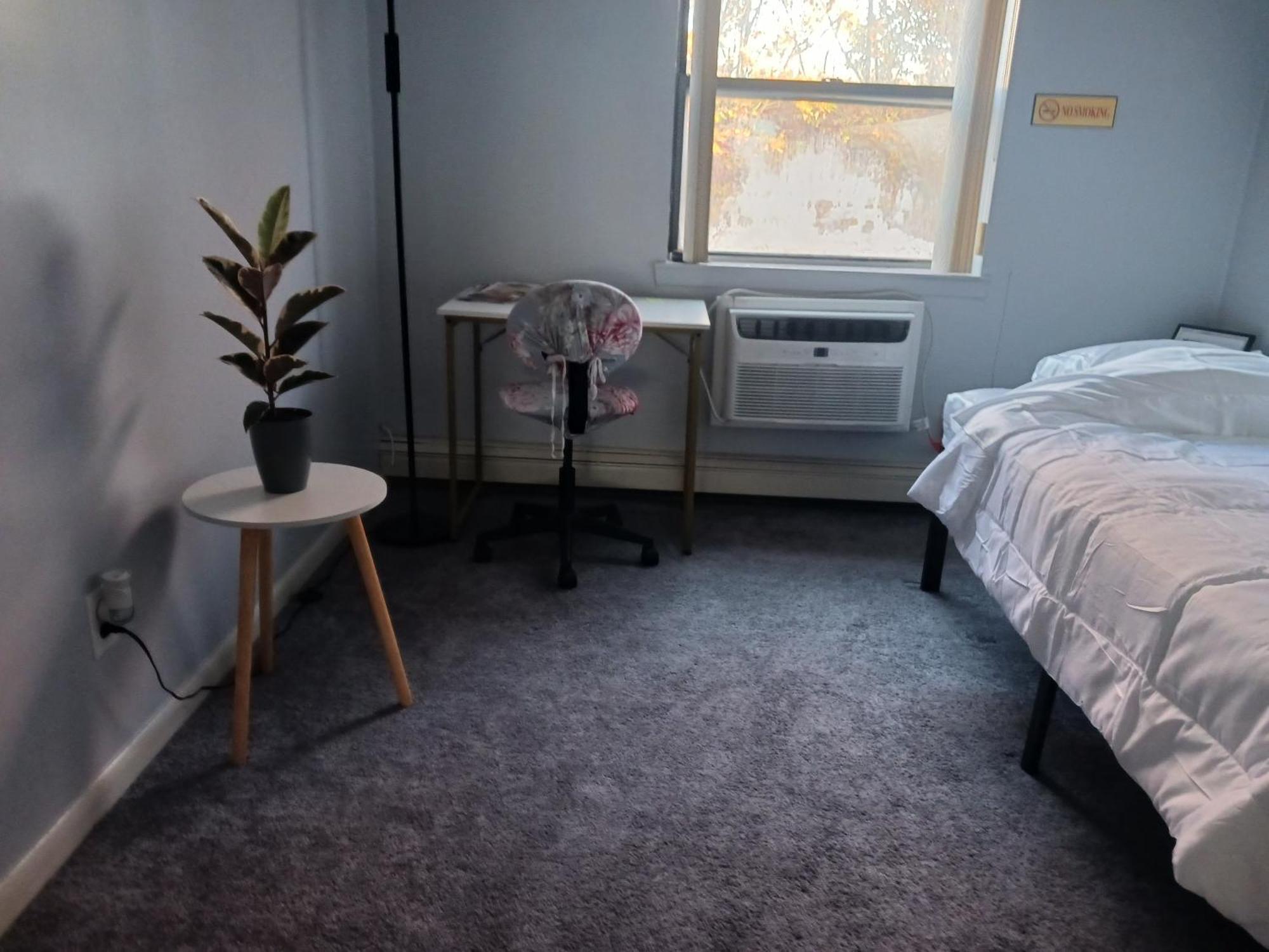 Comfy Cat Lover's In Fresh Meadows Homestay *